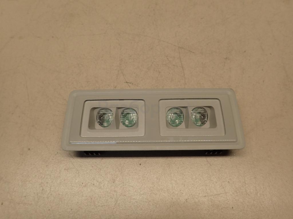 Плафон салонный