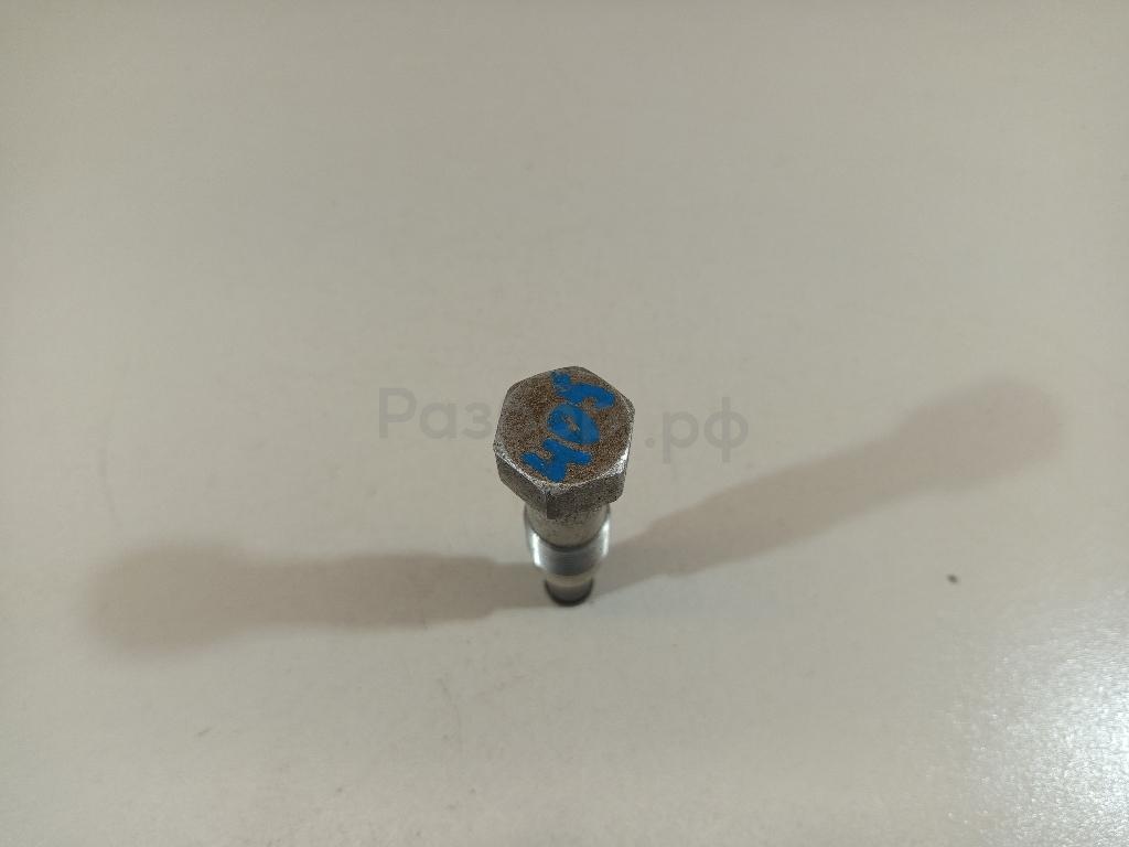 Натяжитель цепи